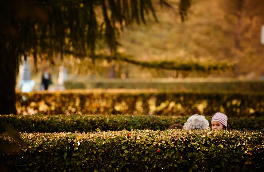 m24.ru/Александр Авилов