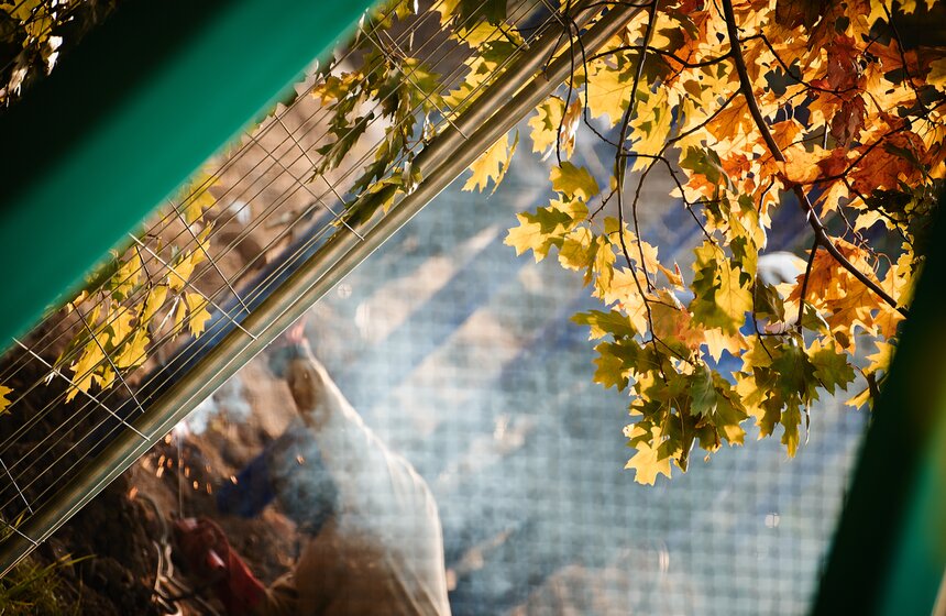 m24.ru/Александр Авилов