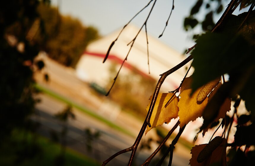 m24.ru/Александр Авилов