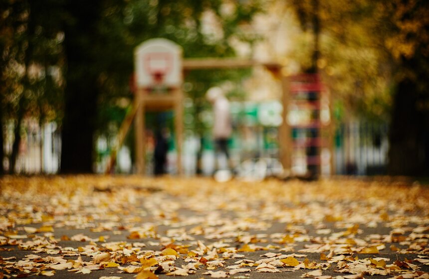 m24.ru/Александр Авилов