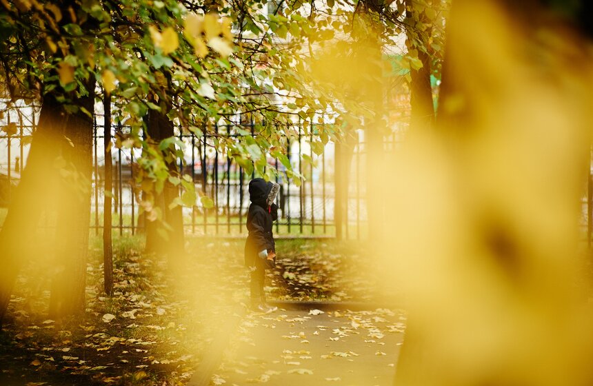 m24.ru/Александр Авилов