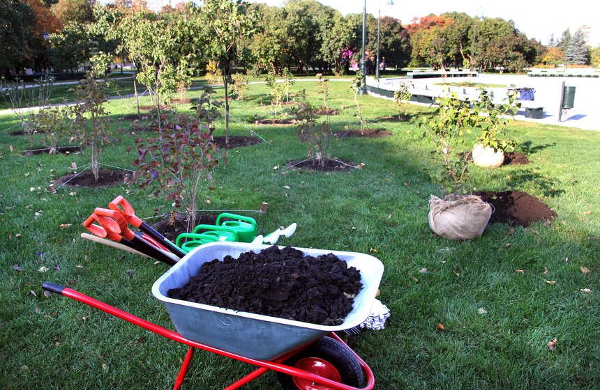 В Москве возрожден уникальный парк "Сиреневый сад" 12 фото
