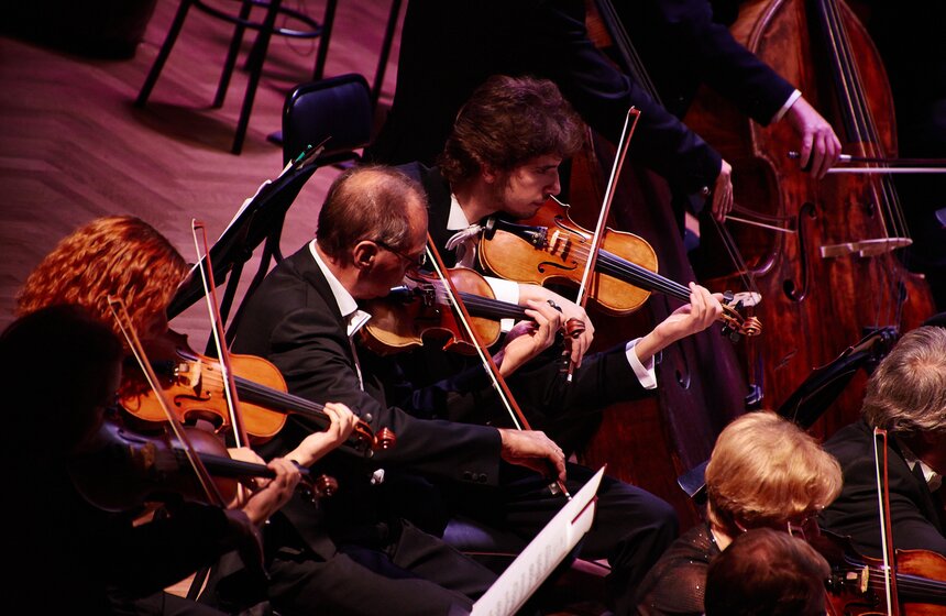 Большой симфонический оркестр дал концерт в "Ночь музыки" 25 фото