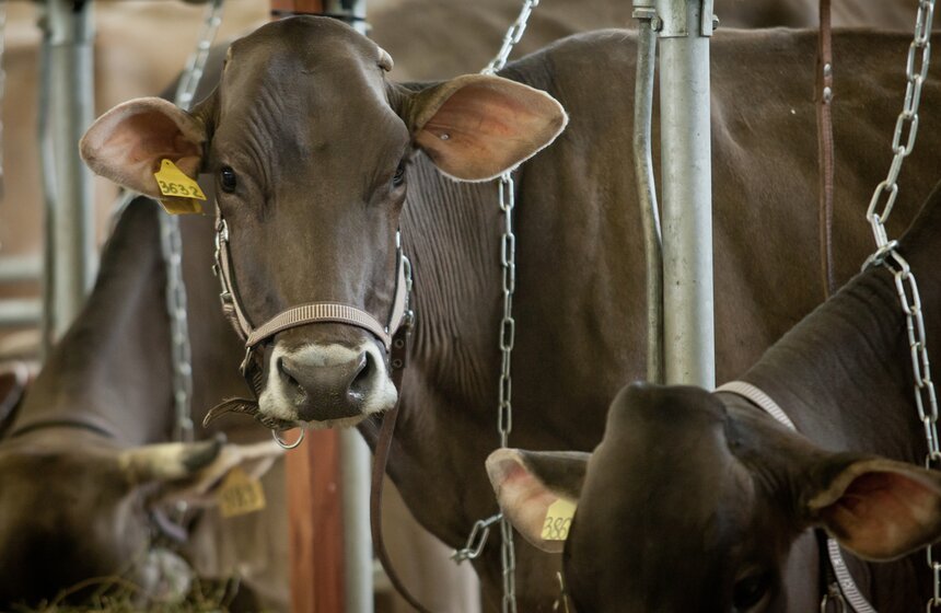 На ВДНХ готовятся к агровыставке "Золотая осень" 4 фото
