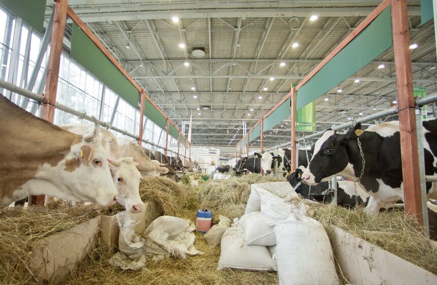 На ВДНХ готовятся к агровыставке "Золотая осень" 12 фото