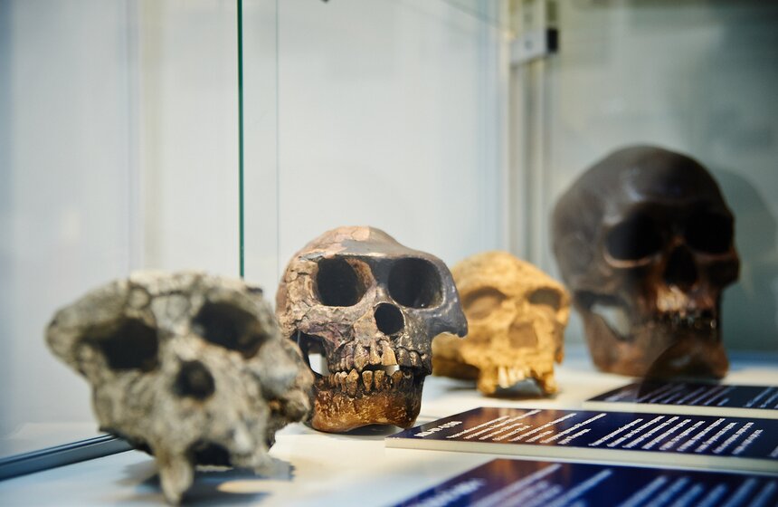 В "Экспоцентре" представили научное шоу "Артнаука" 7 фото