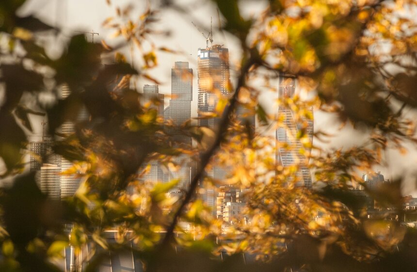 Московская осень в объективе фотографа Игоря Иванко 25 фото