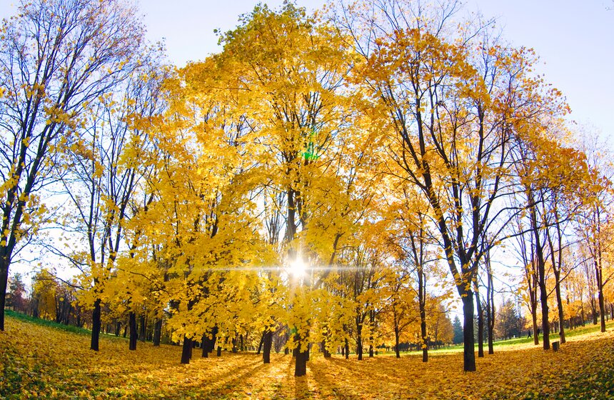 m24.ru/Лидия Широнина