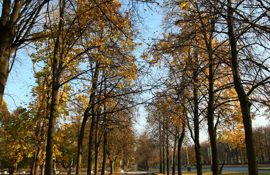 m24.ru/Лидия Широнина