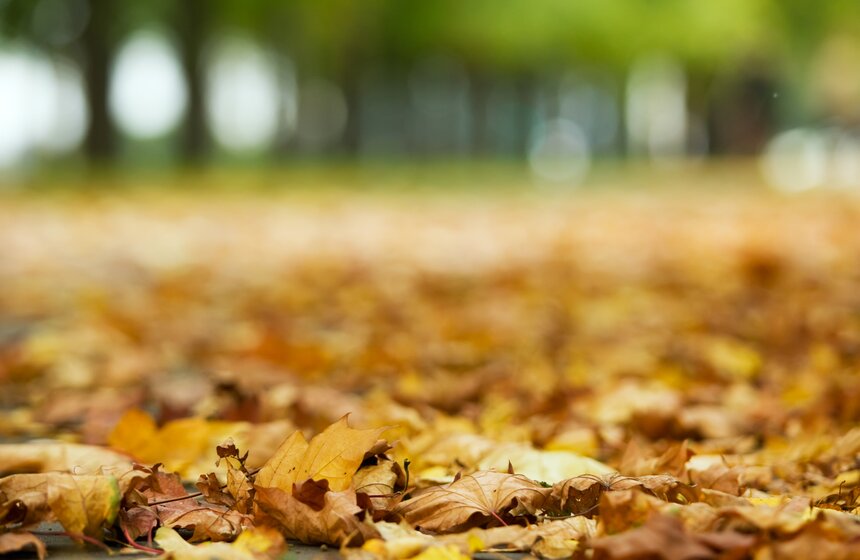 m24.ru/Лидия Широнина