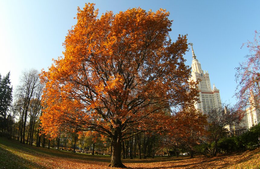 m24.ru/Лидия Широнина