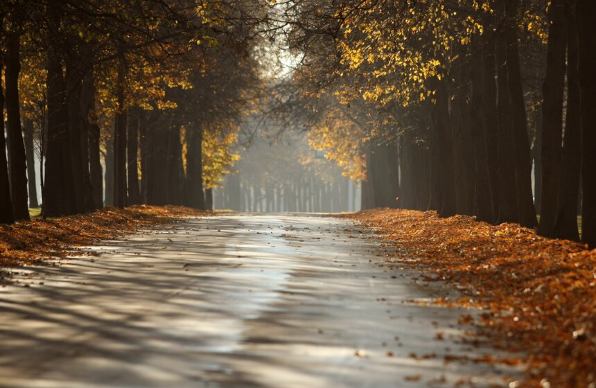 Московская осень в объективах фотографов сетевого издания M24.ru 8 фото