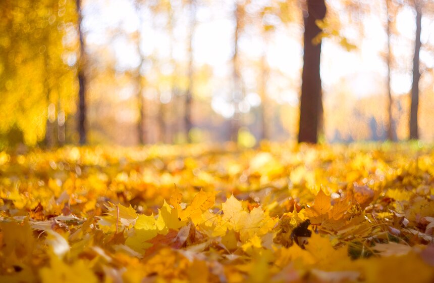 m24.ru/Лидия Широнина