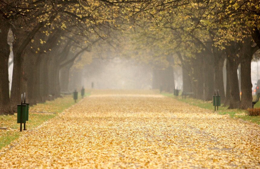 m24.ru/Лидия Широнина