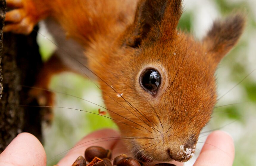Фото: m24.ru/Лидия Широнина