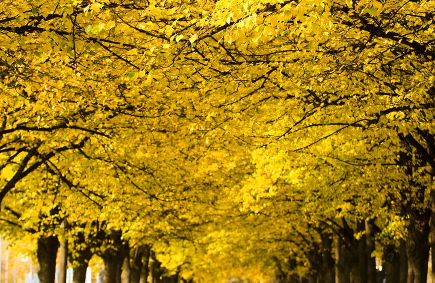 m24.ru/Лидия Широнина