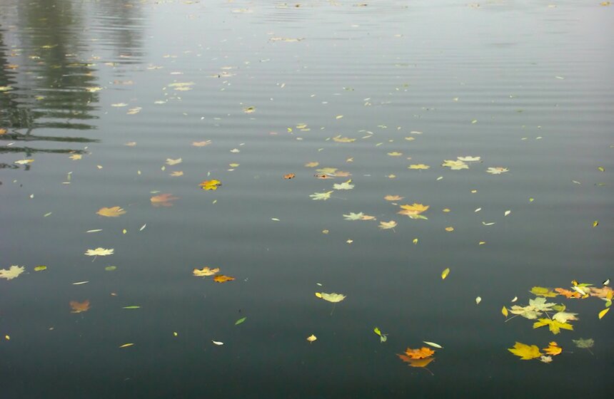 m24.ru/Лидия Широнина