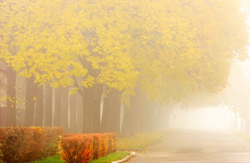 m24.ru/Лидия Широнина