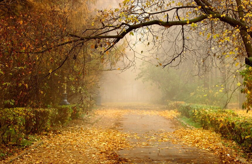 m24.ru/Лидия Широнина