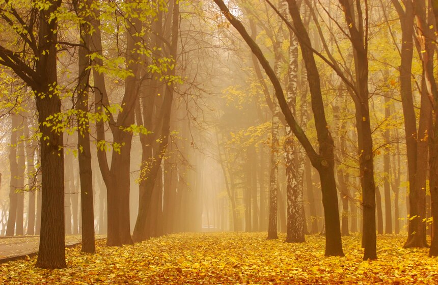 m24.ru/Лидия Широнина