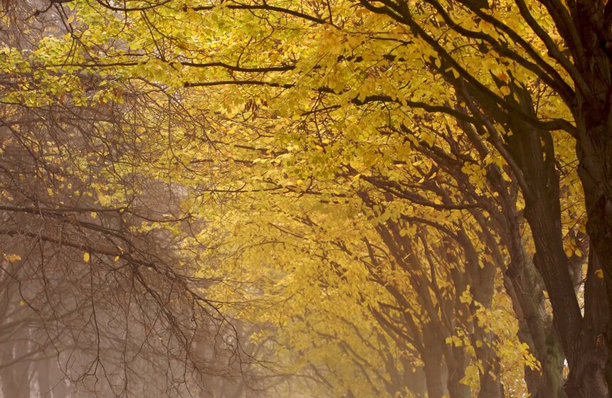 m24.ru/Лидия Широнина