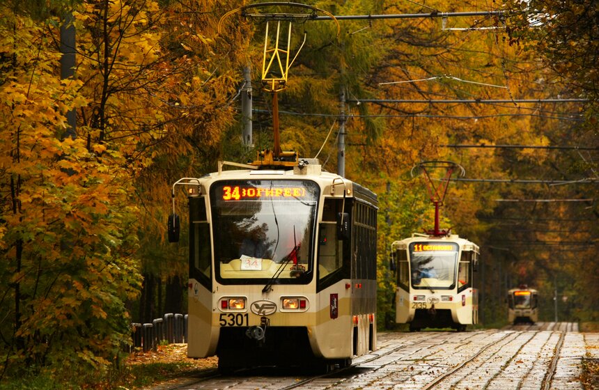 m24.ru/Лидия Широнина