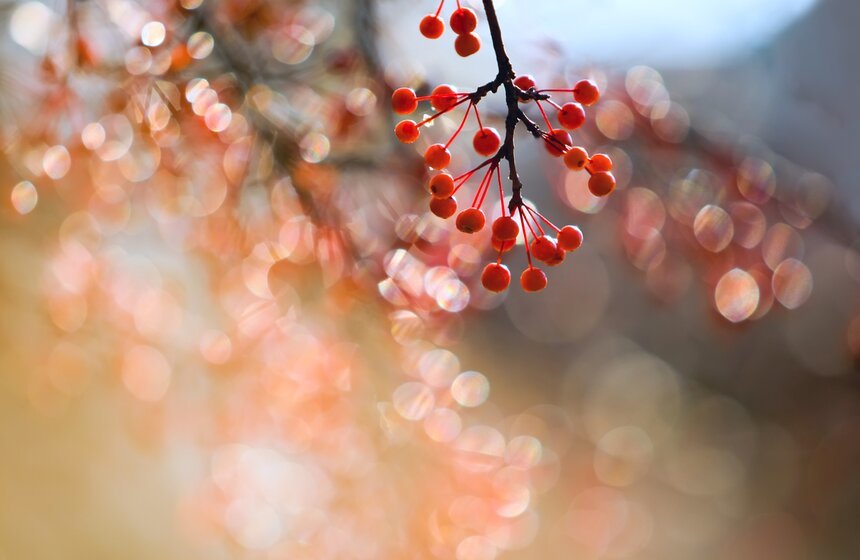 m24.ru/Лидия Широнина