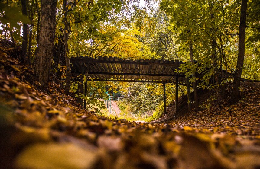 Московская осень в объективе фотографа Игоря Иванко 12 фото