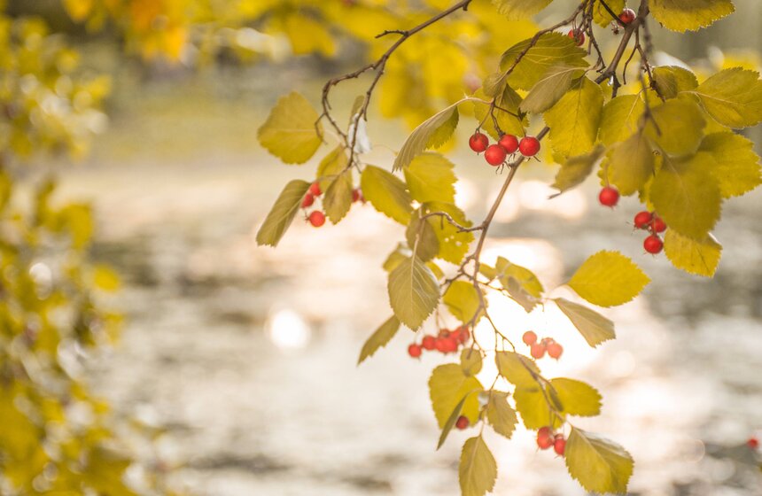 Московская осень в объективе фотографа Игоря Иванко 5 фото