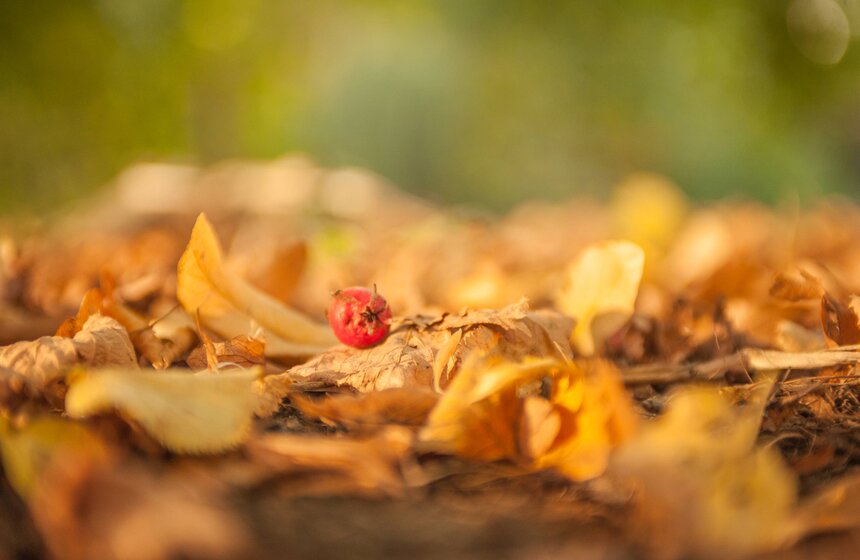 Московская осень в объективе фотографа Игоря Иванко 4 фото