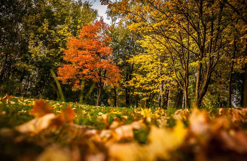 Московская осень в объективе фотографа Игоря Иванко 22 фото