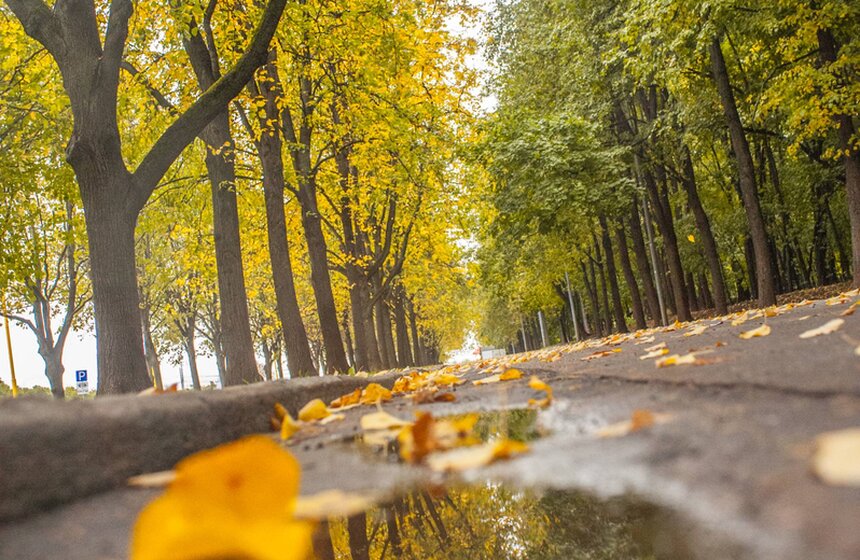 Московская осень в объективе фотографа Игоря Иванко 15 фото