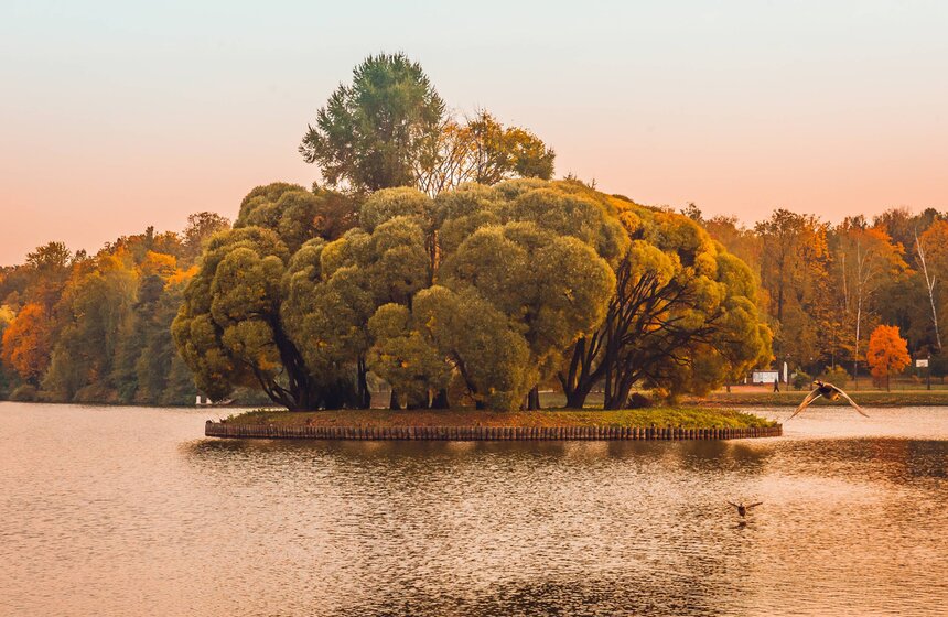 Московская осень в объективе фотографа Игоря Иванко 21 фото