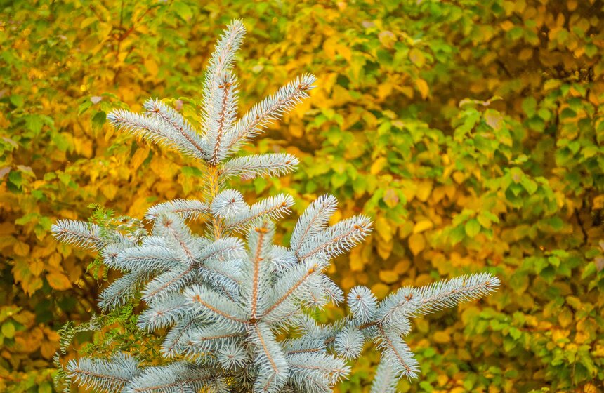 Московская осень в объективе фотографа Игоря Иванко 2 фото