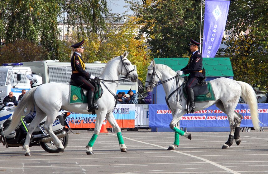 В "Лужниках" прошел спортивный праздник столичной полиции 19 фото