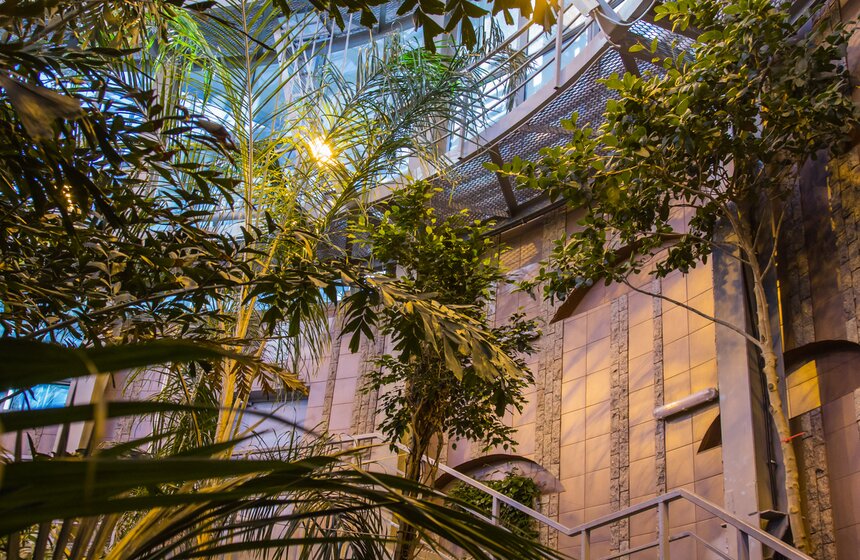 Московский зоопарк займется улучшением посещаемости 11 фото