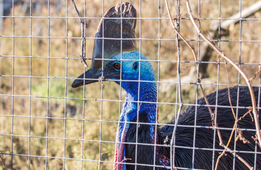 Московский зоопарк займется улучшением посещаемости 9 фото
