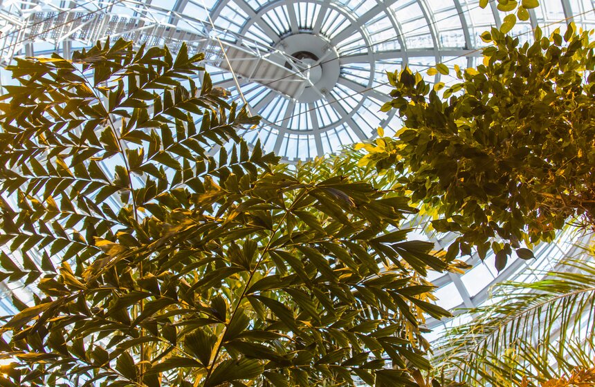 Московский зоопарк займется улучшением посещаемости 12 фото