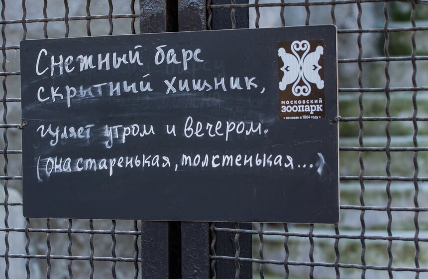 Московский зоопарк займется улучшением посещаемости 7 фото