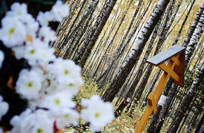 На полигоне "Коммунарка" провели субботник 17 фото