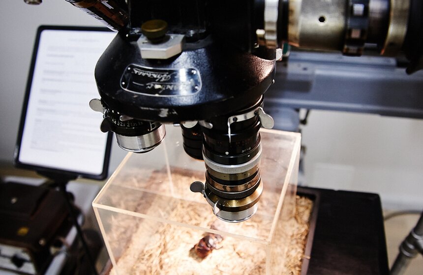 Открылся удаленный читальный зал Президентской библиотеки 14 фото