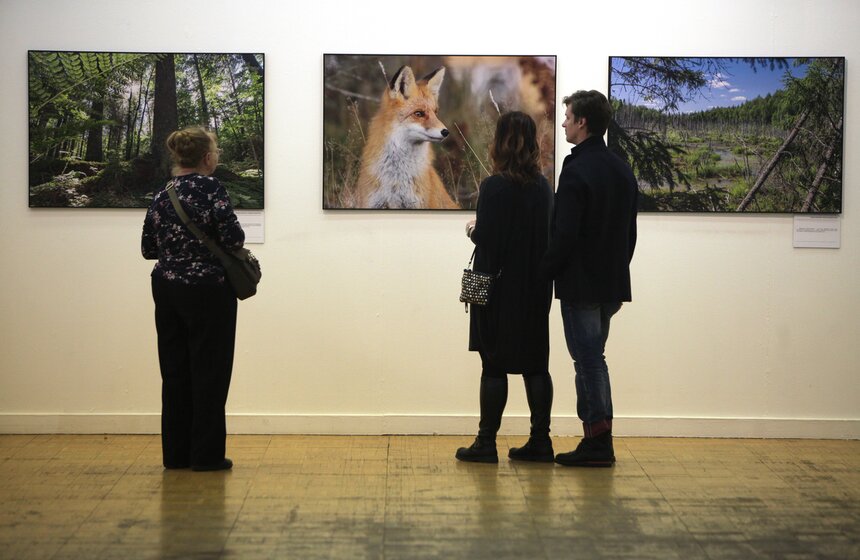 В ЦДХ открылся фестиваль "Первозданная Россия" 11 фото