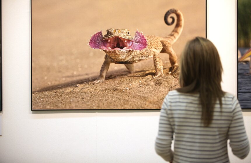 В ЦДХ открылся фестиваль "Первозданная Россия" 3 фото