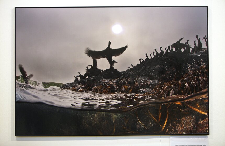 В ЦДХ открылся фестиваль "Первозданная Россия" 13 фото