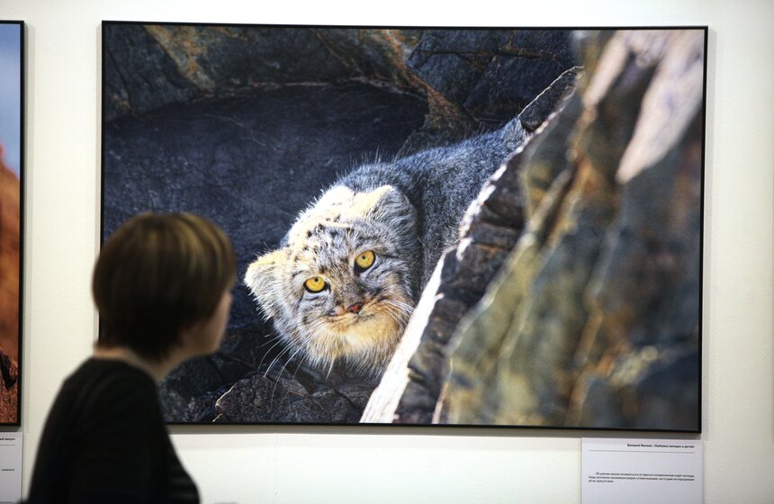 В ЦДХ открылся фестиваль "Первозданная Россия" 22 фото