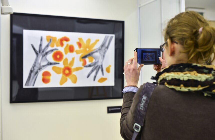 В столице открывается выставка "Искусство видеть насквозь" 7 фото