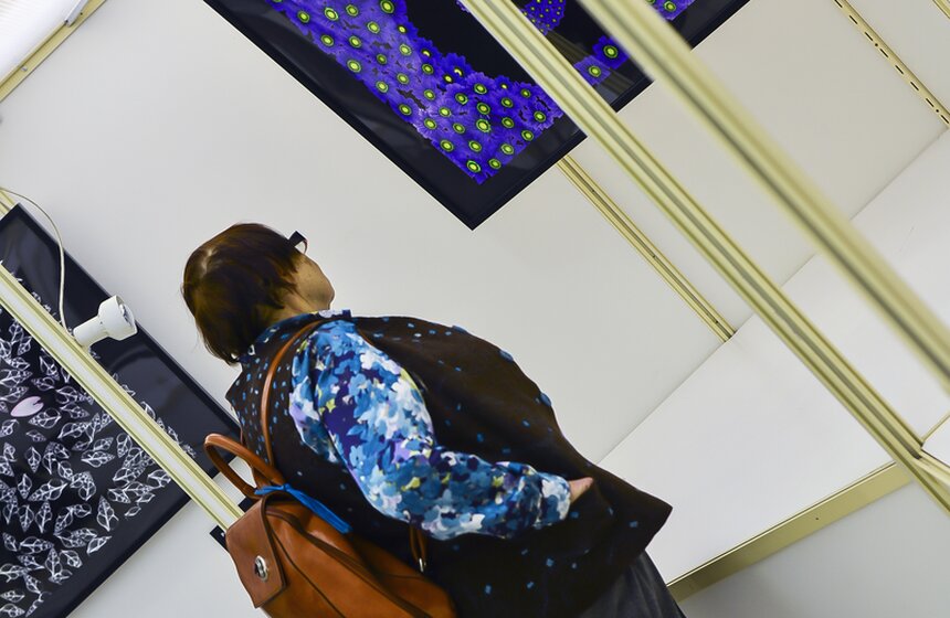 В столице открывается выставка "Искусство видеть насквозь" 4 фото