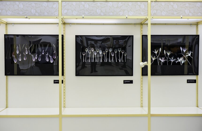 В столице открывается выставка "Искусство видеть насквозь" 2 фото