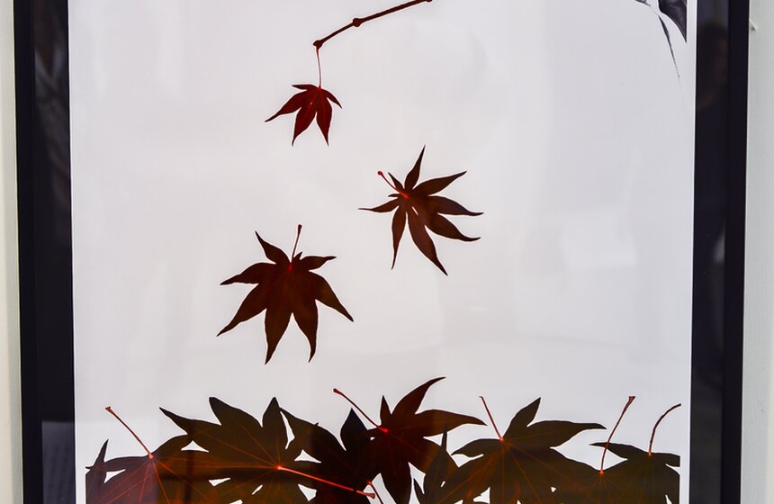 В столице открывается выставка "Искусство видеть насквозь" 5 фото