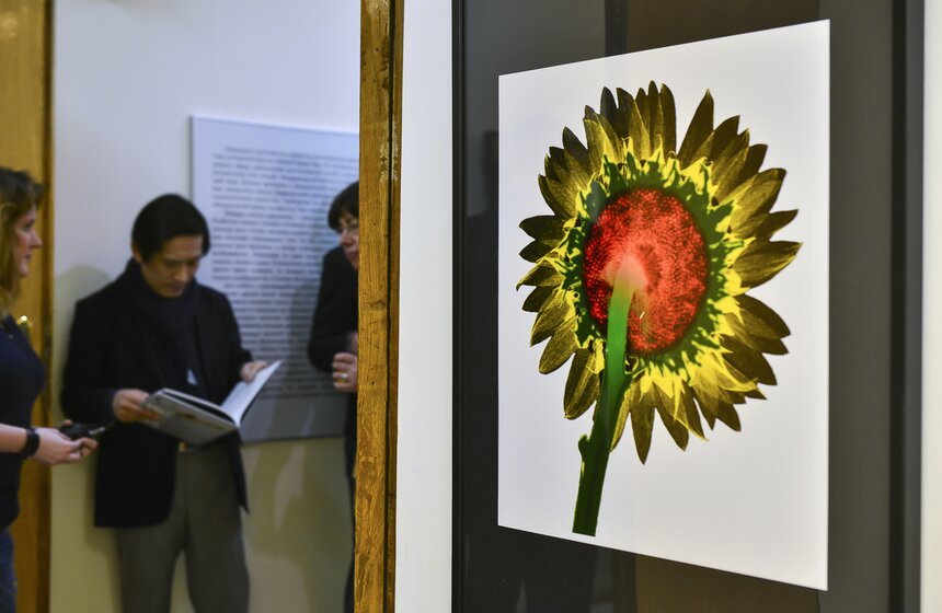 В столице открывается выставка "Искусство видеть насквозь" 17 фото